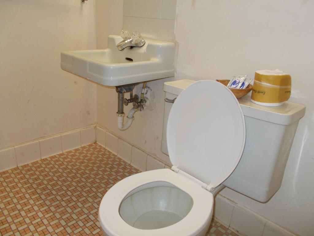 Homer Hillside Motel المظهر الخارجي الصورة