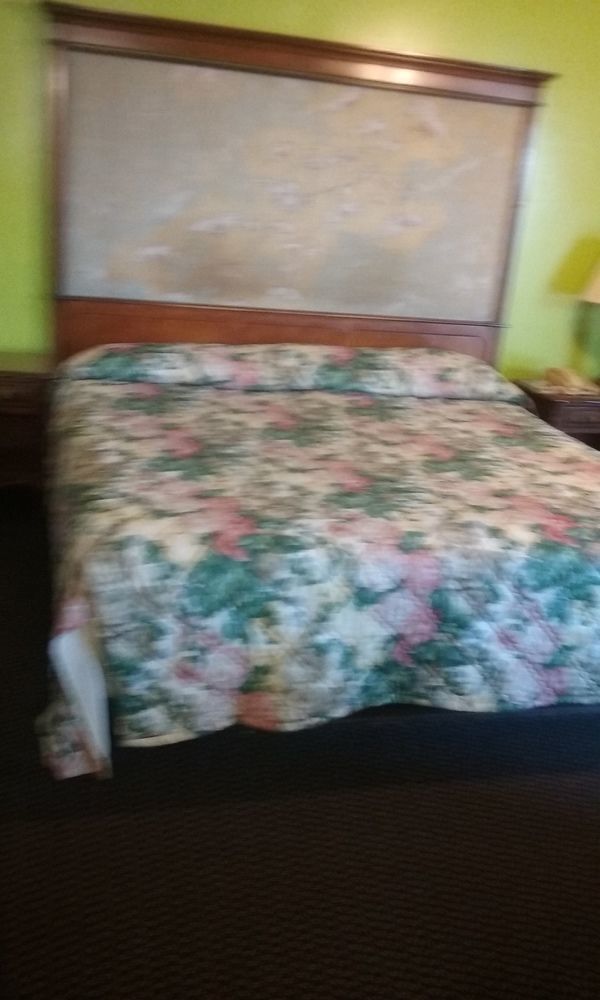Homer Hillside Motel المظهر الخارجي الصورة