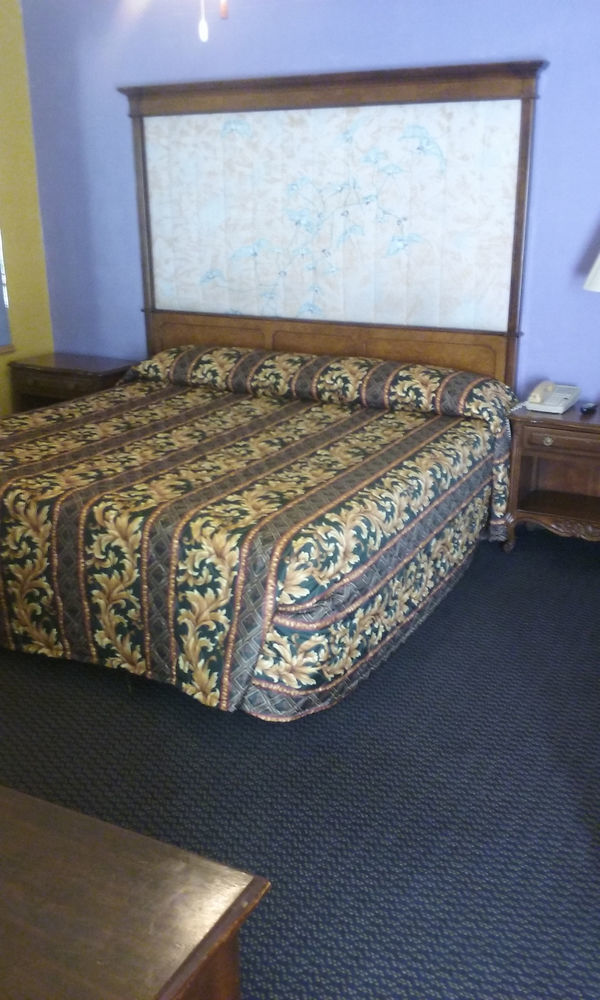 Homer Hillside Motel المظهر الخارجي الصورة